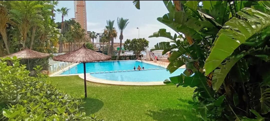 Apartamento Acapulco Luxe Piso 3 En 1A Linea Playa Poniente Benidorm Top Vistas Al Mar Espectaculares Y De Luxe Con Acceso A Piscina Y Garaje Privado Exterior photo